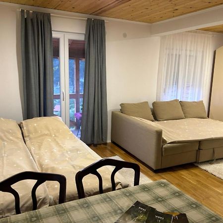 Ljubav Stara Zaovine Hotel Lazici Buitenkant foto